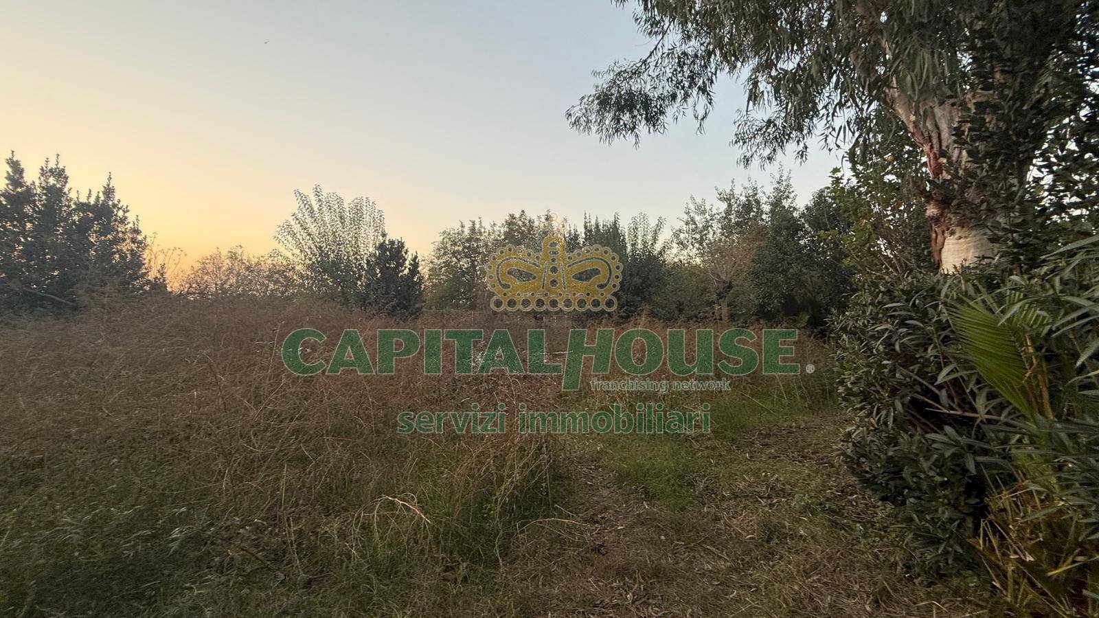 Terreno agricolo Scisciano - foto 2