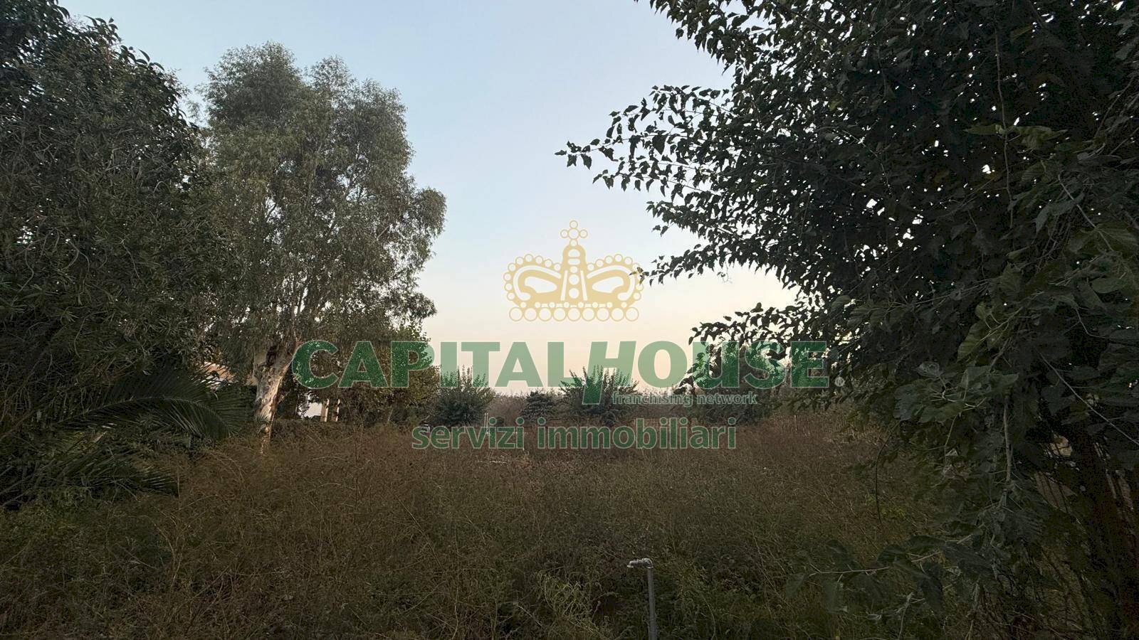 Terreno agricolo Scisciano - foto 3