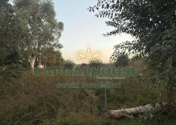 Terreno agricolo Scisciano - foto 1