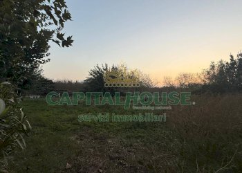 Terreno agricolo Scisciano - foto 8