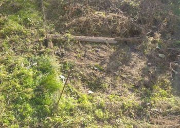 Terreno - Villa via Giardini, Berbenno di Valtellina - foto 23