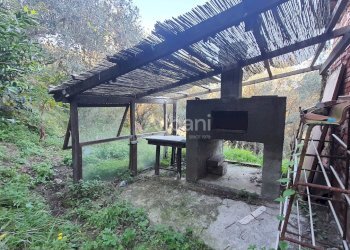 TE173_terreno_vendita_san venerio_uliveto_rustico - Terreno agricolo La Spezia - foto 6