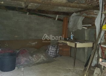 TE173_terreno_vendita_san venerio_uliveto_rustico - Terreno agricolo La Spezia - foto 7