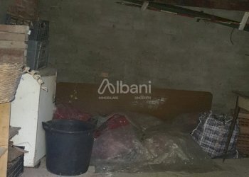 TE173_terreno_vendita_san venerio_uliveto_rustico - Terreno agricolo La Spezia - foto 8