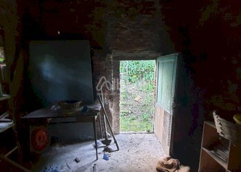 TE173_terreno_vendita_san venerio_uliveto_rustico - Terreno agricolo La Spezia - foto 9