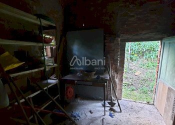 TE173_terreno_vendita_san venerio_uliveto_rustico - Terreno agricolo La Spezia - foto 10