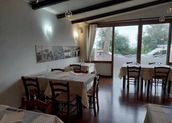 WhatsApp Image 2024-10-24 at 16.06.44 (1).jpeg - Ristorante Rimini - foto 1