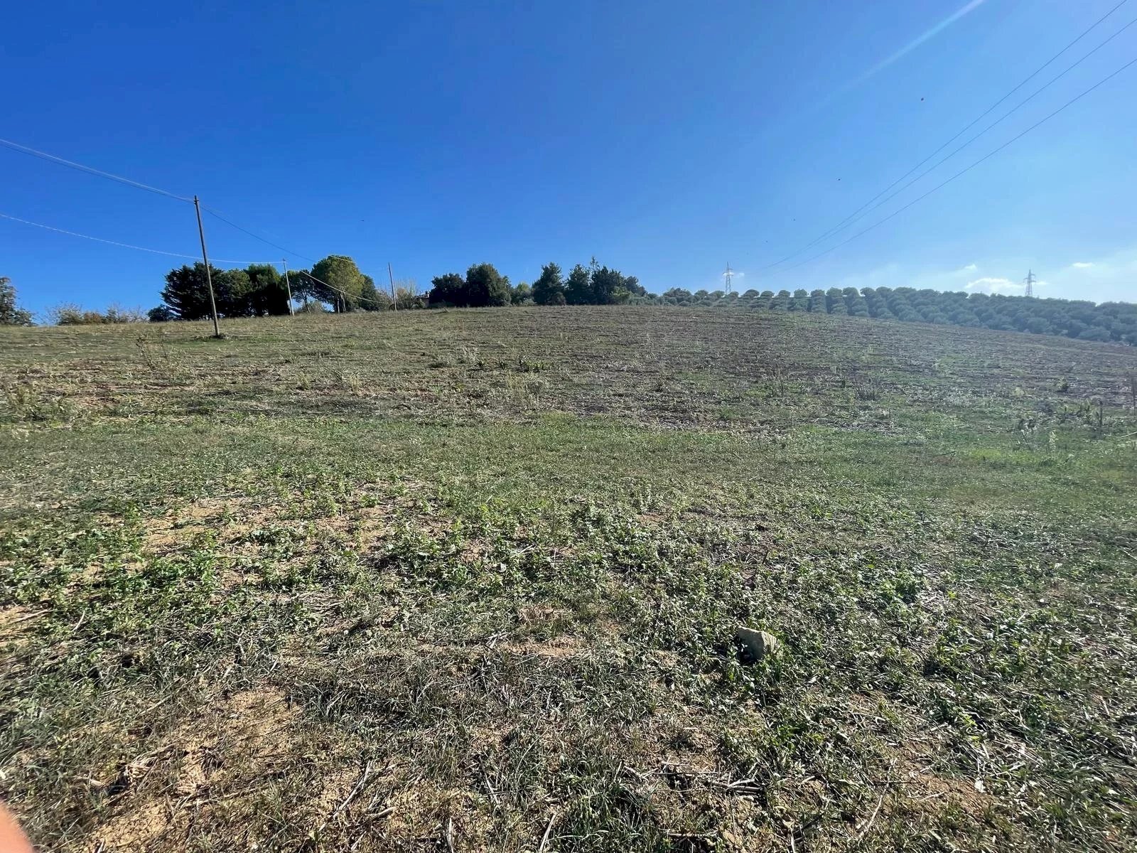 Terreno agricolo CONTRADA VILLA SIBI, Moscufo - foto 3