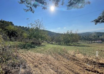 Terreno agricolo CONTRADA VILLA SIBI, Moscufo - foto 1