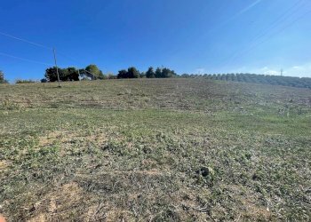 Terreno agricolo CONTRADA VILLA SIBI, Moscufo - foto 3