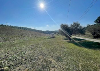 Terreno agricolo CONTRADA VILLA SIBI, Moscufo - foto 4