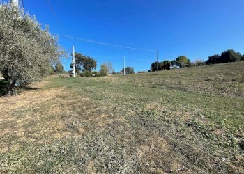 Terreno agricolo CONTRADA VILLA SIBI, Moscufo - foto 5