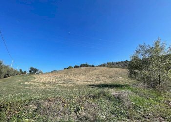 Terreno agricolo CONTRADA VILLA SIBI, Moscufo - foto 6