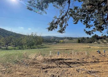 Terreno agricolo CONTRADA VILLA SIBI, Moscufo - foto 7