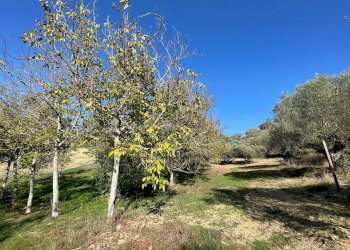 Terreno agricolo CONTRADA VILLA SIBI, Moscufo - foto 10