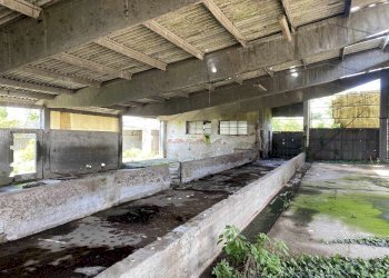 Rustico Brignano Gera d'Adda - foto 41