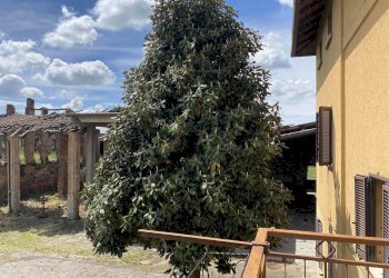 Rustico Brignano Gera d'Adda - foto 48