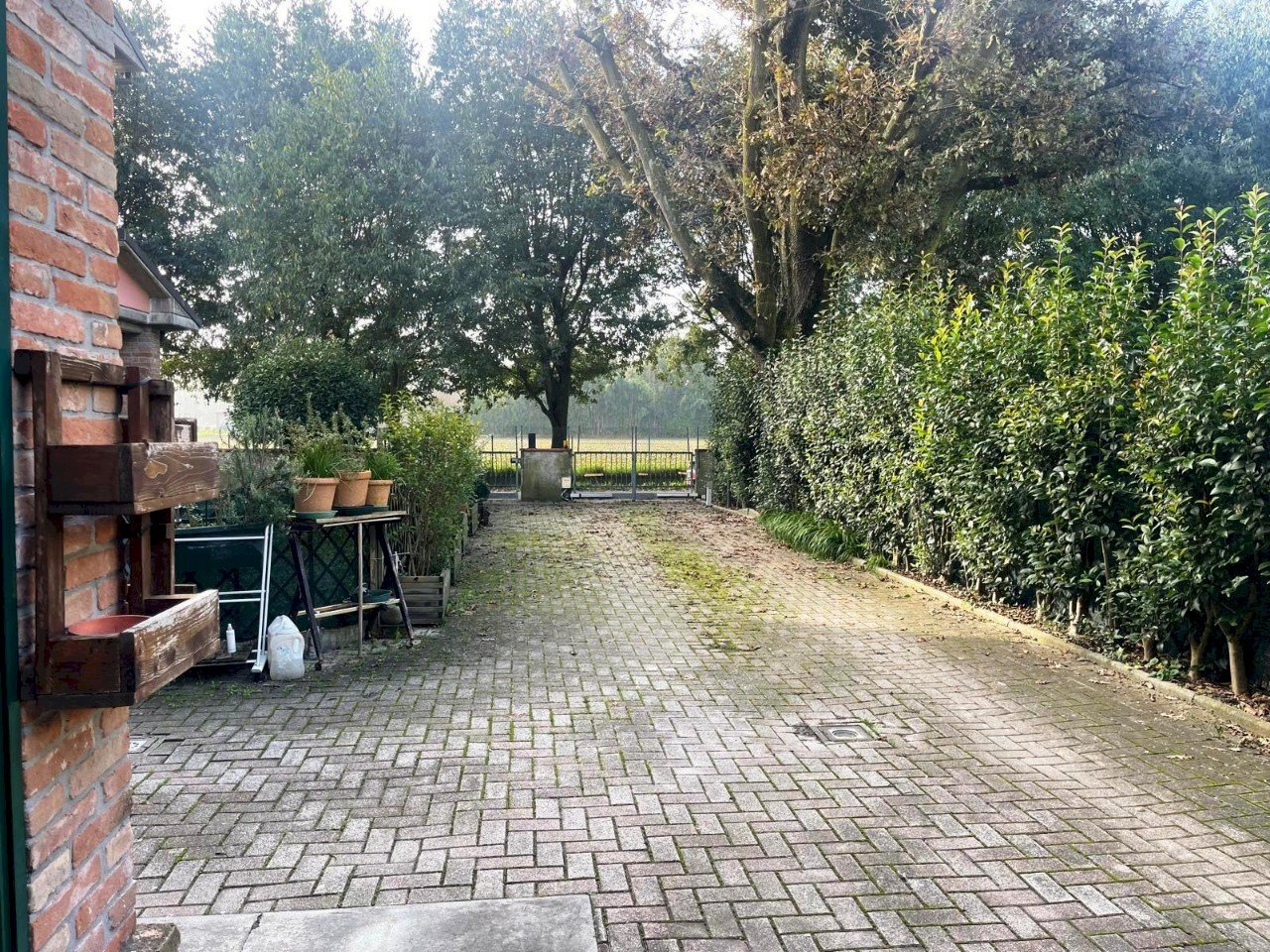 Porzione di casa Massa Lombarda - foto 3