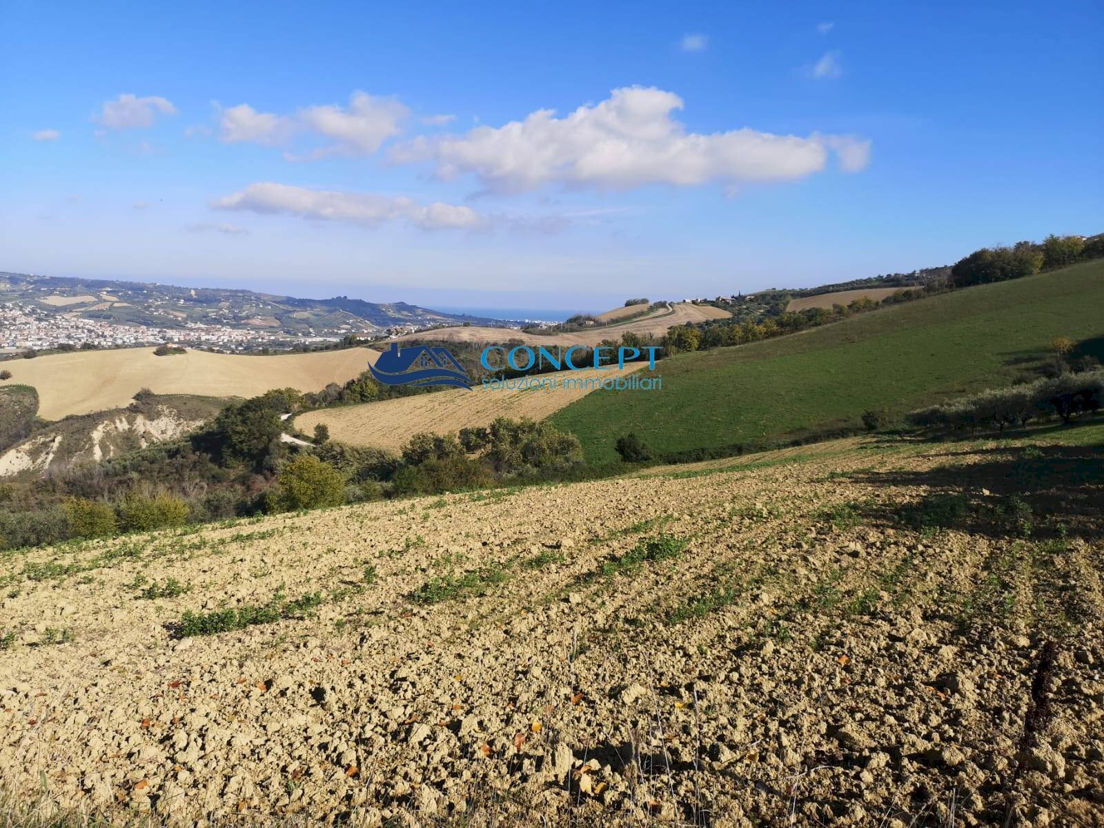 Terreno agricolo contrada Rio Moro, Colonnella - foto 2