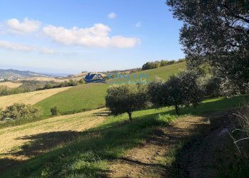 Terreno agricolo contrada Rio Moro, Colonnella - foto 1
