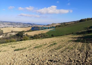Terreno agricolo contrada Rio Moro, Colonnella - foto 2