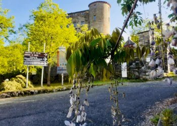 WhatsApp Image 2024-11-06 at 15.16.02.jpeg - Porzione di casa SP8 10, Calice al Cornoviglio - foto 2