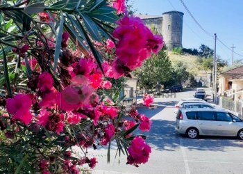 WhatsApp Image 2024-11-06 at 15.16.03.jpeg - Porzione di casa SP8 10, Calice al Cornoviglio - foto 7