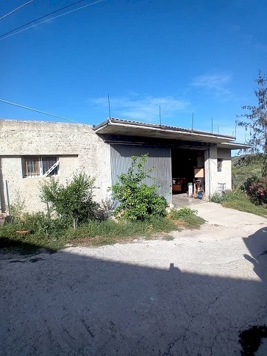 20240906_164353.jpg - Magazzino Contrada Montupoli Avenna, Miglianico - foto 1