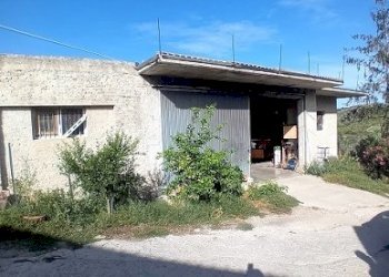 20240906_164353.jpg - Magazzino Contrada Montupoli Avenna, Miglianico - foto 1