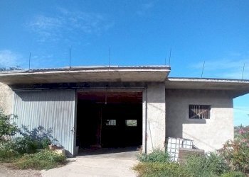 20240906_164335.jpg - Magazzino Contrada Montupoli Avenna, Miglianico - foto 2