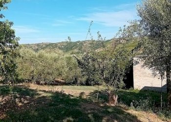 20240906_164518.jpg - Magazzino Contrada Montupoli Avenna, Miglianico - foto 5