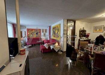 20241029_101948.jpg - Villa Solesino - foto 1