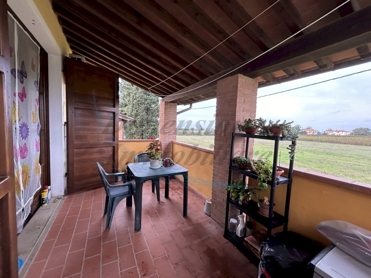 IMG_9606.jpg - Appartamento Rosignano Marittimo - foto 3