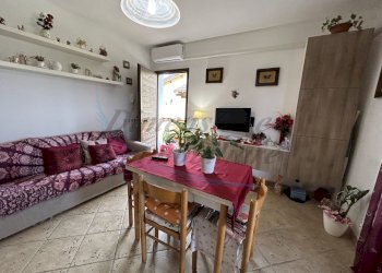 IMG_9603.jpg - Appartamento Rosignano Marittimo - foto 1