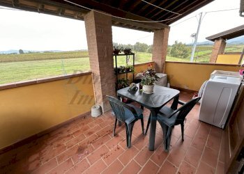 IMG_9615.jpg - Appartamento Rosignano Marittimo - foto 4