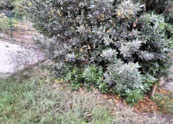 Porzione di casa Vigolzone - foto 24