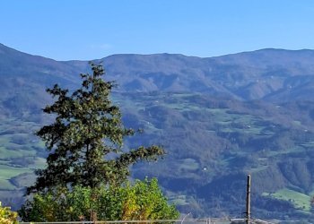 Rustic Bobbio - photo 9