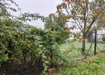 Rustic Bobbio - photo 21