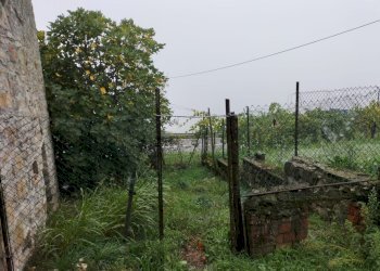 Rustic Bobbio - photo 23