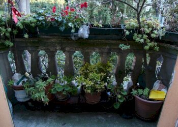 Apartment Reggio nell'Emilia - photo 12