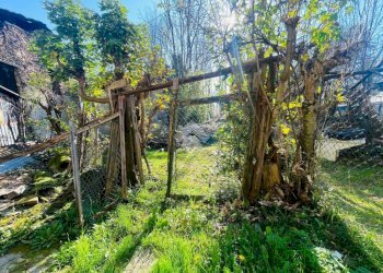 Rustico Case piat, Coassolo Torinese - foto 16