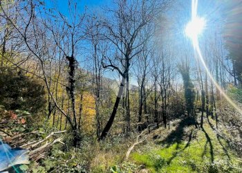Rustico Case piat, Coassolo Torinese - foto 23