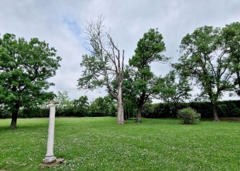 Villa Medicina - foto 11