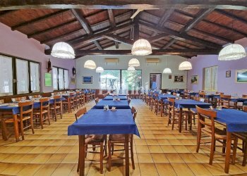 Interno non residenziale - Restaurant strada Statale Asti Casale, 19, Penango - photo 16