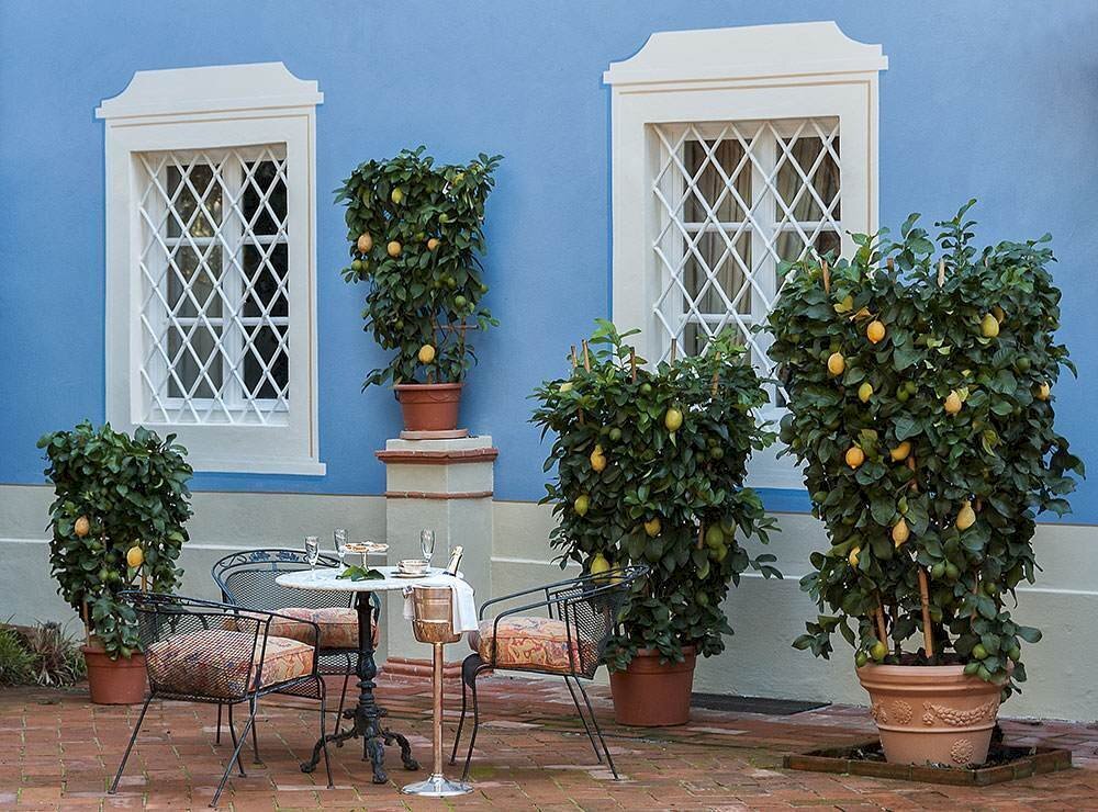 2.jpg - Albergo - Struttura ricettiva Via di Vicopelago e di Pozzuolo, Lucca - foto 2