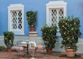 2.jpg - Albergo - Struttura ricettiva Via di Vicopelago e di Pozzuolo, Lucca - foto 2