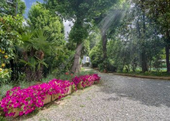 10.jpg - Albergo - Struttura ricettiva Via di Vicopelago e di Pozzuolo, Lucca - foto 6