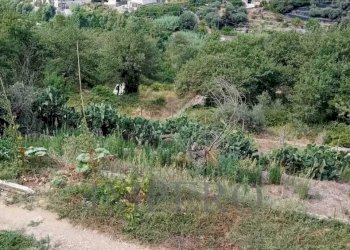Independent house SP64 13a, Dolceacqua - photo 14