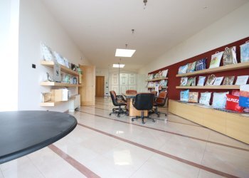 BELLISSIMO CAPANNONE DI RAPPRESENTANZA PARI AL NU - Locale Commerciale Via dei Bocchi 201, Capannori - foto 20