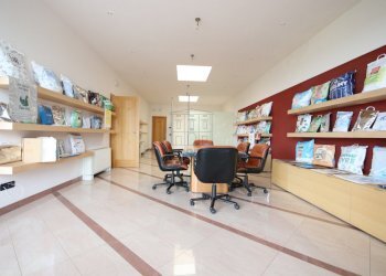 BELLISSIMO CAPANNONE DI RAPPRESENTANZA PARI AL NU - Locale Commerciale Via dei Bocchi 201, Capannori - foto 21